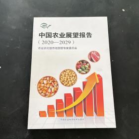 中国农业展望报告（2020-2029）