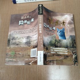 猫武士5-险路惊魂