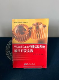 Visual Basic管理信息系统项目开发实践——程序员项目开发实践系列