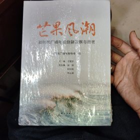 芒果风潮-新时代广播电视创新发展与思考