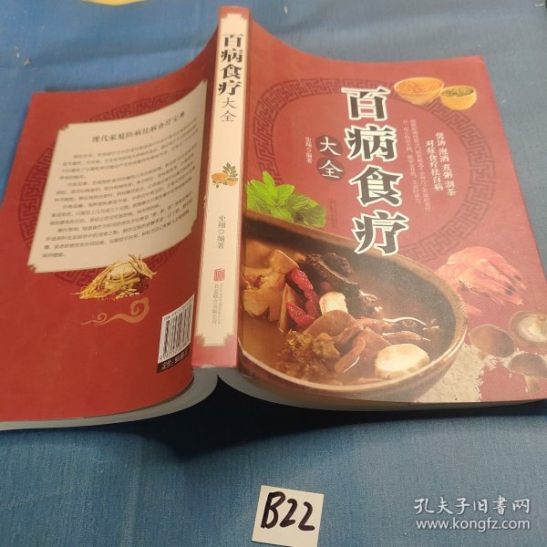 超值全彩养生馆：百病食疗大全