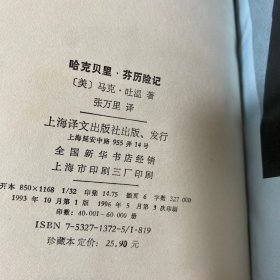 哈克贝里·芬历险记