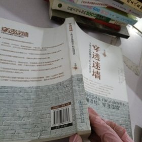 穿透迷墙：干预与自由博弈下的中国经济