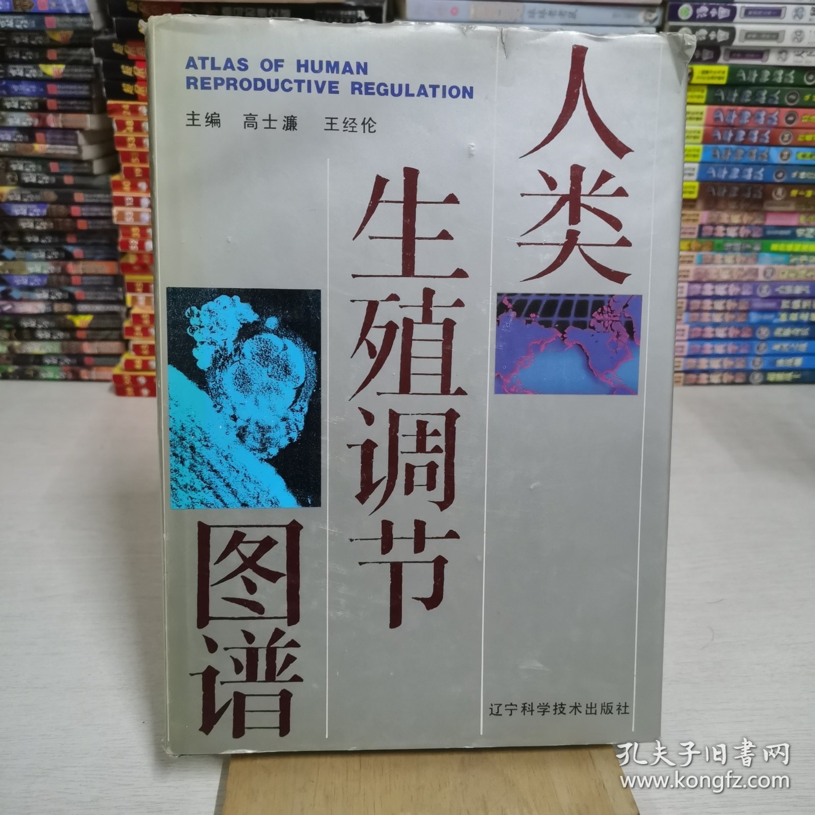 人类生殖调节图谱