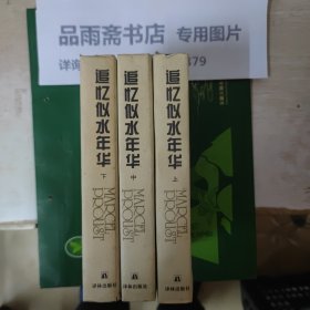 追忆似水年华（精装全三册，94年一版一印）