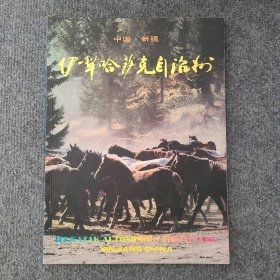 伊犁哈萨克自治州画册