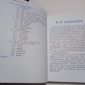 信息系统项目管理师教程（第3版）（全国计算机技术与软件专业技术资格（水平）考试指定用书）