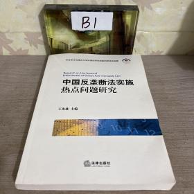 中国反垄断法实施热点问题研究