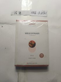 钢铁是怎样炼成的