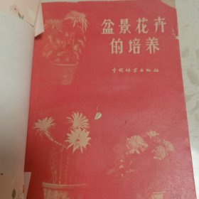 盆景花卉的培养