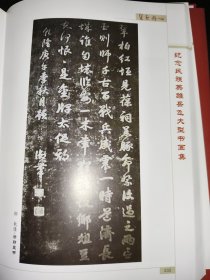 碧血丹心 纪念岳飞书画集