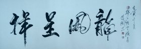邓公特演，孙国忠老师书法2一幅48x126纸本托片。保真包退。