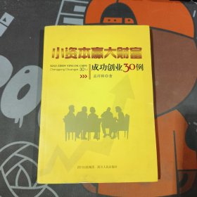 小资本赢大财富：成功创业30例（2012年一版一印）
