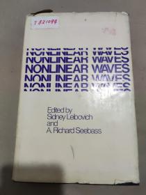 NONLINEAR WAVES.