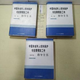 中国未成年人权利保护与犯罪预防工作指导全书 第一卷，第三卷，第四卷 共3本合售