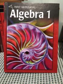Algebra-1（代数学，原版教材，无写划，基本全新）