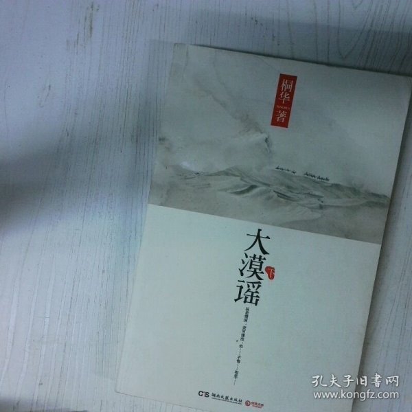 大漠谣 高温消毒发货 桐华 湖南文艺出版社