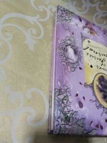 花仙子日记 A Flower Fairies Journal