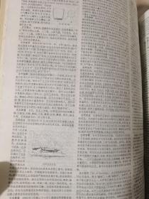 辞海 缩印本 1989年版