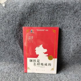 钢铁是怎样炼成的八年级