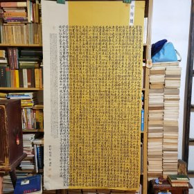 317湖南省安化县熊国强书法作品：许慎传