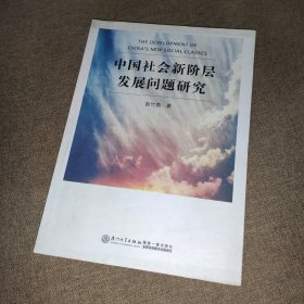 中国社会新阶层发展问题研究