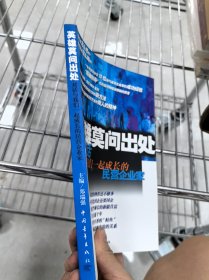 英雄莫问出处：对话与我们一起成长的民营企业家