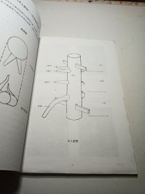 116式咏春木人桩法——叶问宗师示范