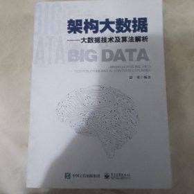 架构大数据——大数据技术及算法解析