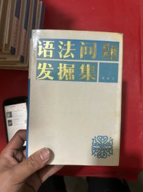 语法问题发掘集（硬精装库存书）