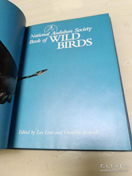 National Audubon Society Book of WILD BIRDS 精装大16开