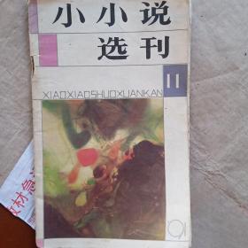 小小说选刊1991 11