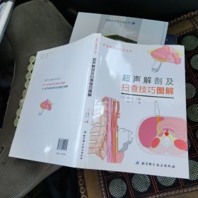 超声解剖及扫查技巧图解