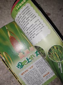 少年科学画报 2010年 第5、6、9、11期 4册合售