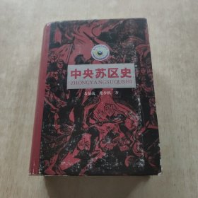 中央苏区史