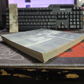 寻桃花源记:2002年上海双年展数码艺术作品:[摄影集]:[中英文本]（一版一印仅2000册）