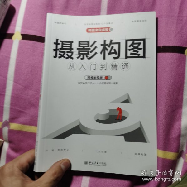 摄影构图从入门到精通（视频教程版）