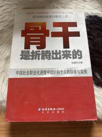 中国本土红色管理书系：骨干是折腾出来的