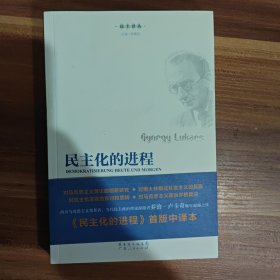 民主化的进程