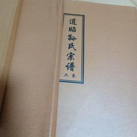 道昭孙氏宗谱（全六卷八册.缺第五卷.七册合售）