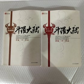 斗罗大陆 第12.13卷