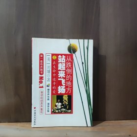 从跌倒的地方站起来飞扬：在生命中追寻的爱