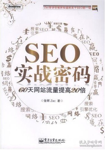 SEO实战密码：60天网站流量提高20倍