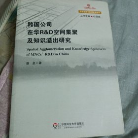 跨国公司在华R&D空间集聚及知识溢出研究