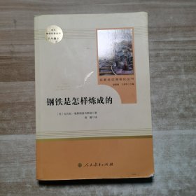 统编语文教材配套阅读 八年级下：钢铁是怎样炼成的/名著阅读课程化丛书