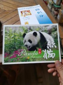 熊猫印象（下）眀信片  共12张全
