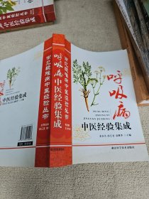 常见疑难病中医经验丛书：呼吸病中医经验集成