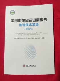 中国能源革命进展报告能源技术革命(2021)