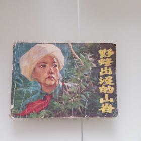 野峰出没的山谷