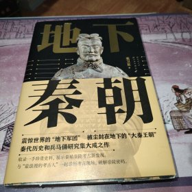 地下秦朝（“国家队”出手了！60年秦陵考古研究新成果里程碑式呈现！挖掘秦始皇陵深埋2200年的秘密）